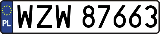 WZW87663