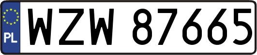 WZW87665