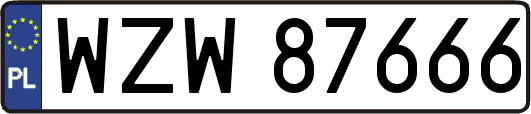 WZW87666
