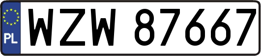 WZW87667