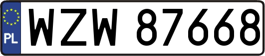 WZW87668