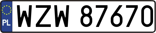 WZW87670