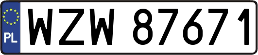WZW87671