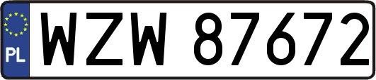WZW87672