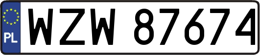WZW87674