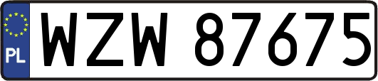 WZW87675
