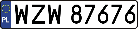 WZW87676
