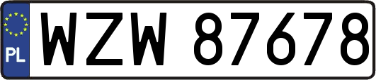 WZW87678