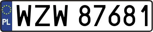 WZW87681