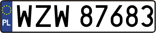 WZW87683