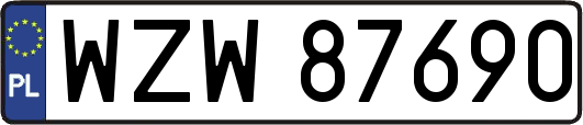 WZW87690