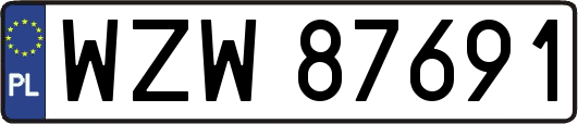 WZW87691