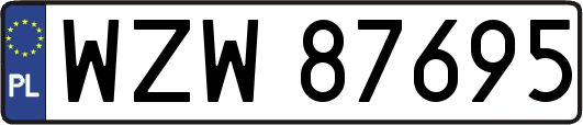 WZW87695