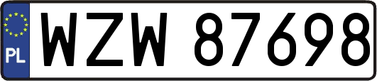 WZW87698