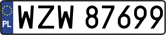 WZW87699