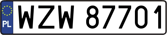 WZW87701