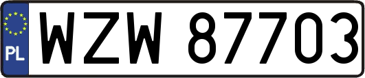 WZW87703