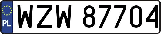 WZW87704
