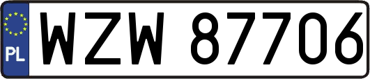 WZW87706