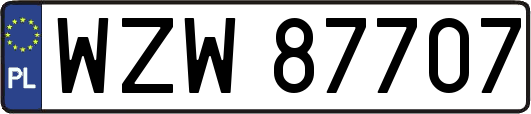 WZW87707