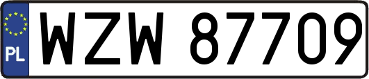 WZW87709