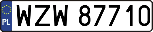 WZW87710