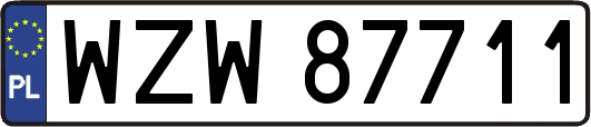 WZW87711