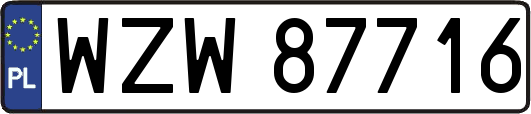 WZW87716