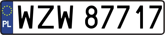 WZW87717