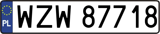 WZW87718