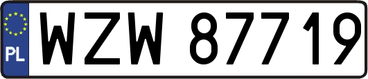 WZW87719