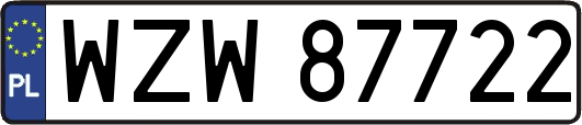 WZW87722