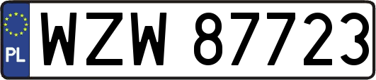 WZW87723