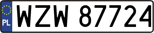 WZW87724