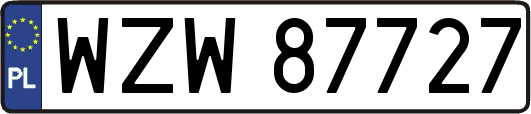 WZW87727
