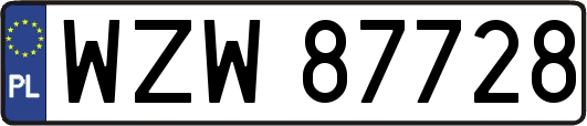 WZW87728