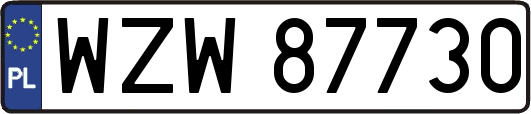 WZW87730