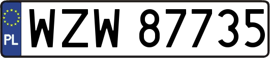 WZW87735