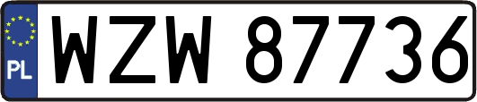 WZW87736