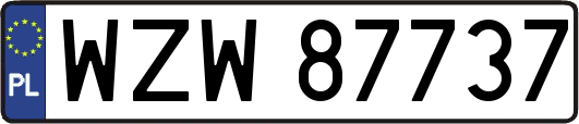 WZW87737