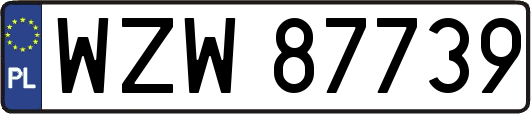 WZW87739