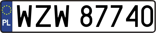 WZW87740