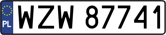 WZW87741