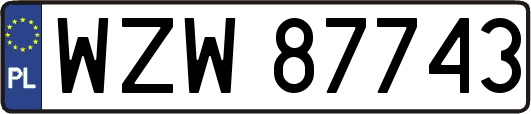 WZW87743