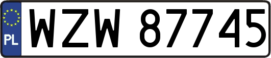 WZW87745