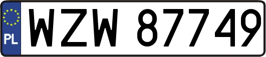 WZW87749