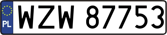 WZW87753