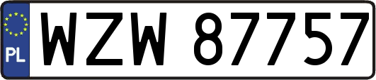 WZW87757