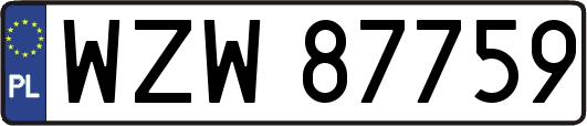 WZW87759