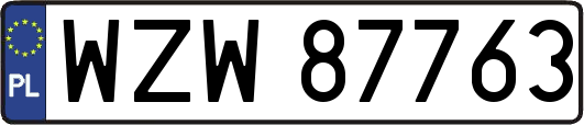 WZW87763